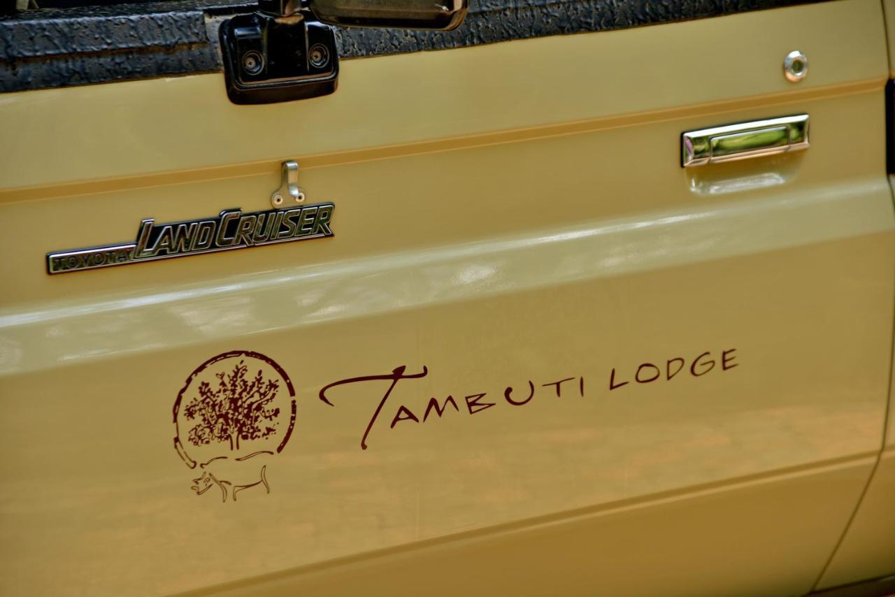 Tambuti Lodge Pilanesberg Exteriör bild
