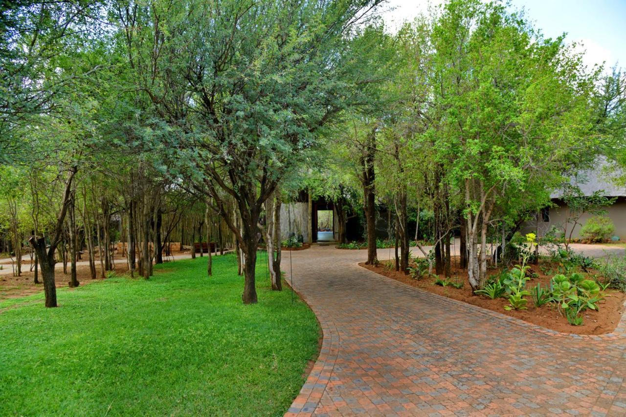 Tambuti Lodge Pilanesberg Exteriör bild