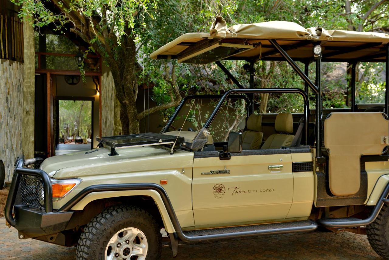 Tambuti Lodge Pilanesberg Exteriör bild