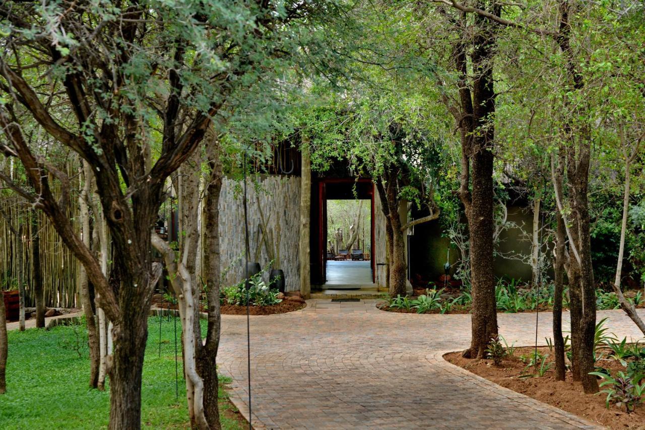 Tambuti Lodge Pilanesberg Exteriör bild
